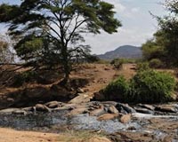 A group of hippos bathe in a shrinking shallow pool of water in the Tsavo West National Park, in southern Kenya. Photo courtesy AFP.