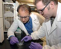 NASA Goddard researchers Jason Dworkin (left) and Daniel Glavin (right) examine aerogel from the Stardust mission. Print-resolution copy (1.8 meg jpg image) Credit: NASA