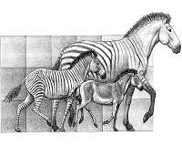 Climate change responsible for the great diversity in horses