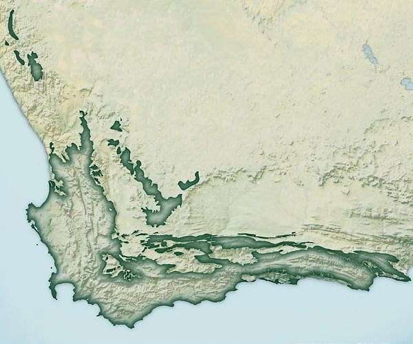 africa-greater-cape-floristic-region-bioscape-hg