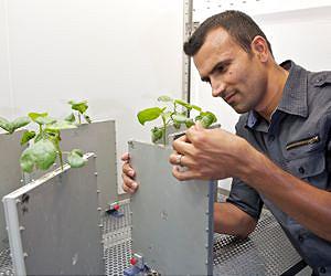 Plants create a water reserve in the soil