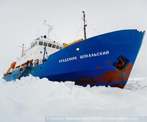 Rescued Antarctic scientists back on dry land