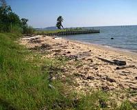 Marine litter undermines benefits of coastal environments
