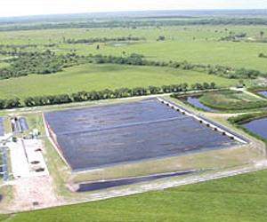 Algae Advances As A Green Alternative For Improving Water Quality