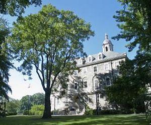 Ailanthus tree's status as invasive species offers lesson in human interaction
