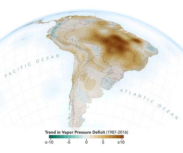 How a Brazilian chief is staving off Amazon destruction