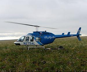 Alaska tundra shows surprising resilience after unprecedented fire