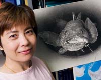 Sea Shepherd to switch campaign from whales to toothfish