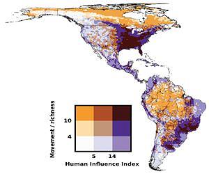 Cities, farms reroute animals seeking cooler climes