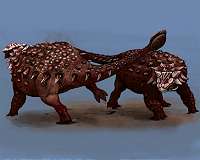 Why don't turtles still have tail spikes?