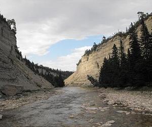 Researchers chance viewing of river cutoff forming provides rare insight
