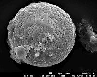 Cosmic dust reveals Earth's ancient atmosphere