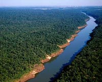 Nearly 70 percent of Argentine forests lost in a century