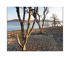 Australian floods fail to quench 'Big Dry'
