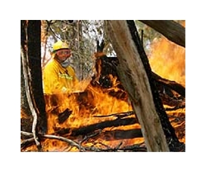 How Australians survive the raging bushfires