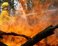 Aus fire death toll unlikely to rise much above 200: police