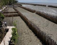 Thai villager beats back waves, but faces new climate threat