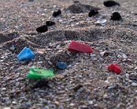 Morocco's litter-strewn beaches kick up a stink