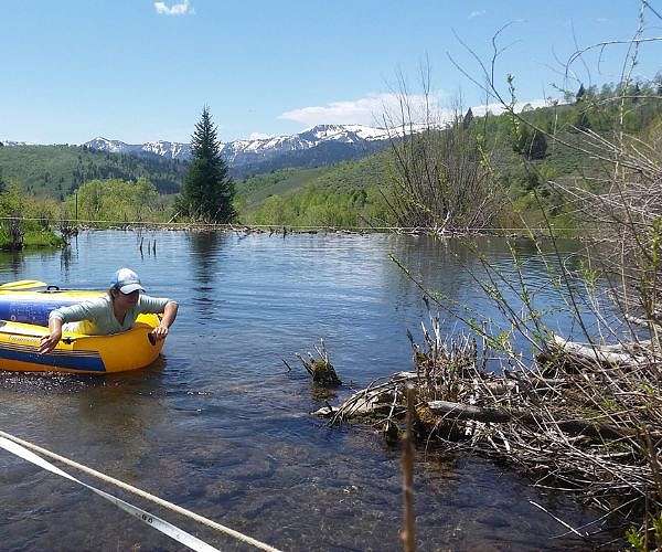 Researchers become beaver believers after measuring the impacts of rewilding