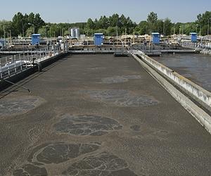 Pitt biologists find 'surprising' number of unknown viruses in sewage