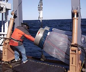 Researchers Measure Impacts Of Changing Climate On Ocean Biology