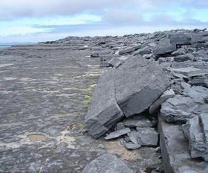 Old maps and dead clams help solve coastal boulder mystery