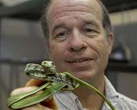 Expert unlocks mechanics of how snakes move in a straight line