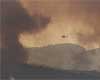 Australian wildfire arsonists face murder charges: police