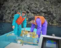Fossil algae reveal 500 million years of climate change