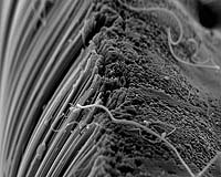 Helping The Carbon Nanotube Industry Avoid Mega-Mistakes Of The Past
