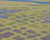 US scientists warn leaders of dangers of thawing permafrost