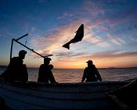 Blockbuster nature series catches dynamite fishermen on film