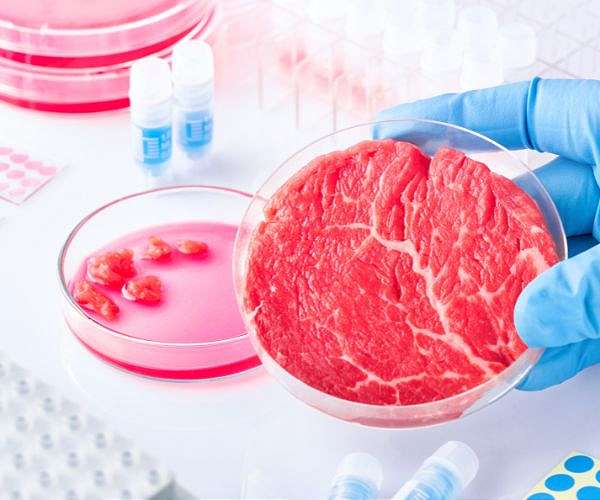 Tufts University launches world's first Degree in Cellular Agriculture