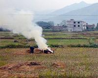 Ozone and haze pollution weakens land carbon uptake in China