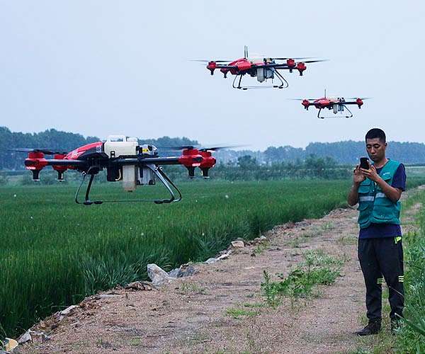 Crop switching boosts climate resilience in Chinese agriculture