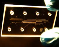 Lab-On-A-Chip Could Protect Astronauts And Detect New Life Forms