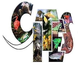 Treat illegal wildlife trade as serious crime: CITES