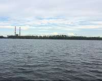 Coal ash selenium found in fish in NC lakes
