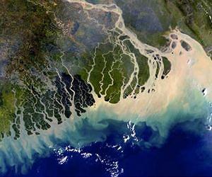 Habitat loss doubles coastal flood impact - study