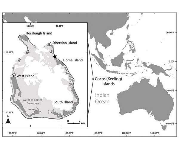 Satellites and light reflections help spot coastal plastic waste