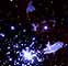 Keep Out Astrophysicists Warn