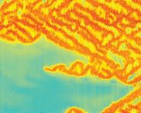 What does turbulence have in common with an epidemic?