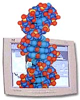 Using 'Nature's Toolbox,' A DNA Computer Solves a Complex Problem