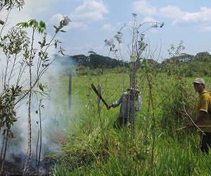 Rising deforestation sparks concern in Brazil Amazon