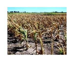Indiana And Illinois Climate Trending Toward Fewer Droughts