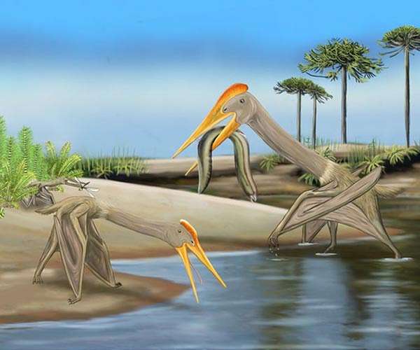 Tiny pterosaurs dominated Cretaceous skies