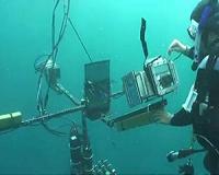 Fish skin provides invisibility in open ocean