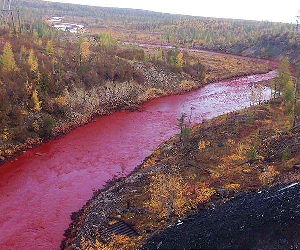 Solo rower launches Europe trek to expose river pollution