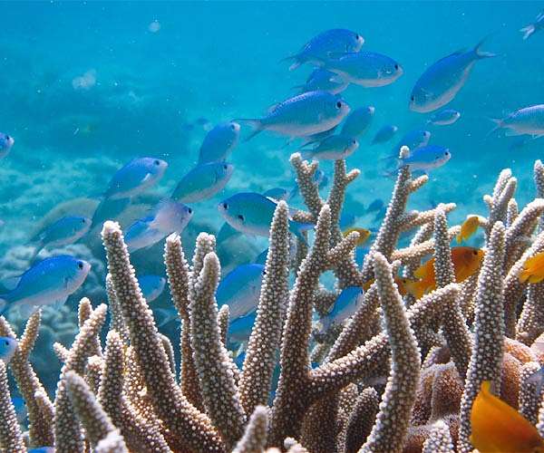 Marine Prosperity Areas introduce a fresh approach to ocean conservation
