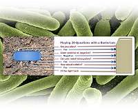 Playing 20 Questions with Bacteria to Distinguish Harmless Organisms from Pathogens